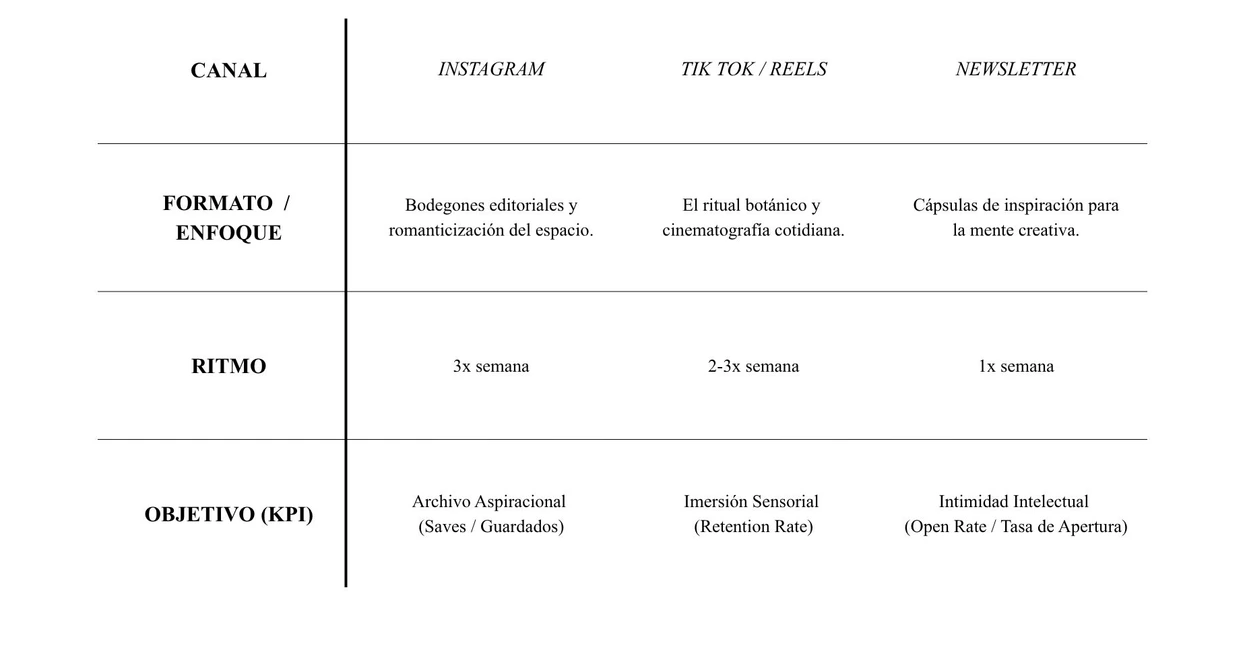 Matriz editorial de MÜS: formato, ritmo y objetivo por canal en Instagram, TikTok y newsletter